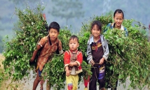Sapa by bus 2 days 01 night