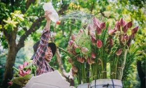 HA NOI CITY ONE DAY TRIP