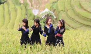 Sapa Medium Trekking 03 Nights & 03 Days (By bus)