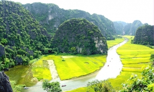 Hoa Lu - Tam Coc 01 Day trip