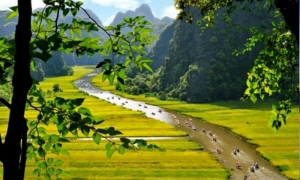 Hoa Lu - Tam Coc 01 Day trip